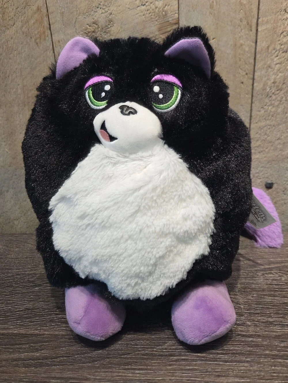 Misfitten Get Meowt Kitten Cat
